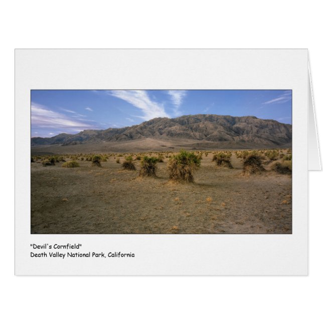 Cartão Dos "campo de milho diabos " (Frente horizontal)