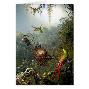 Cartão dos colibris da floresta tropical