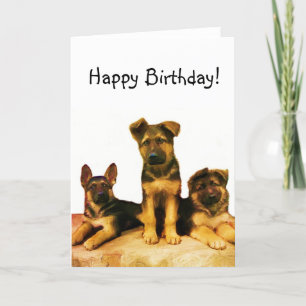 Cartão dos filhotes de cachorro do german shepher