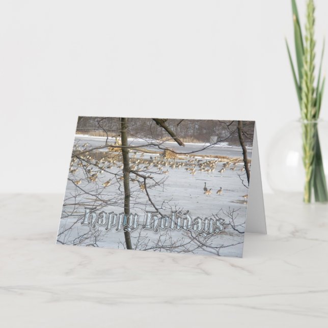 Cartão dos gansos de Canadá boas festas (Frente)