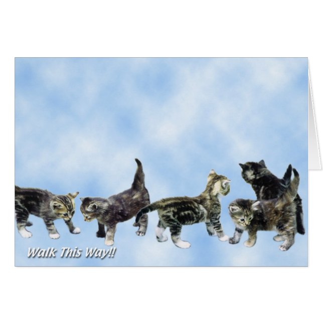 Cartão dos gatinhos - bonito (Frente Horizontal)