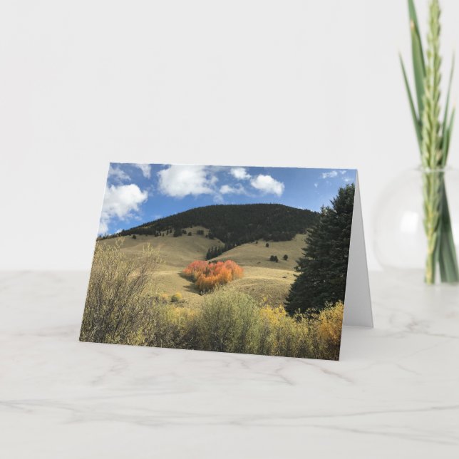 Cartão dos namorados com os álamos tremedores (Frente)