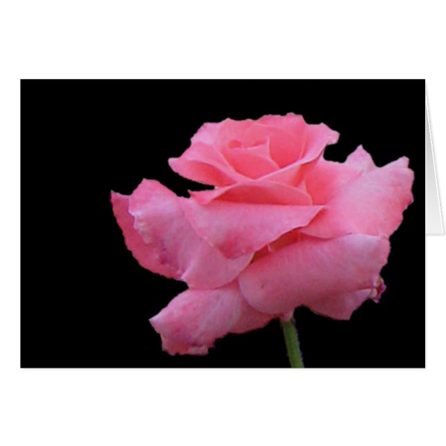 Cartão dos rosas e dos chocolates (Frente Horizontal)