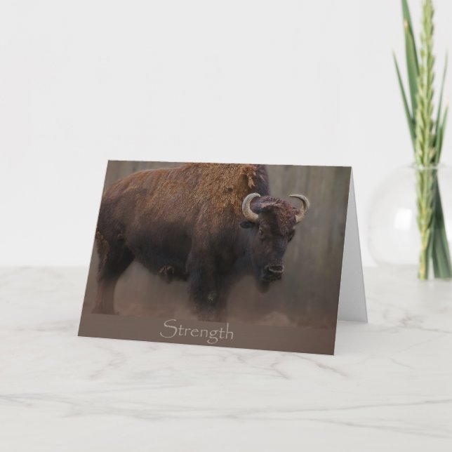 Cartão Dosagem (Frente)