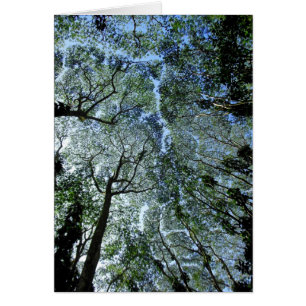 Cartão Dossel de floresta tropical havaiano