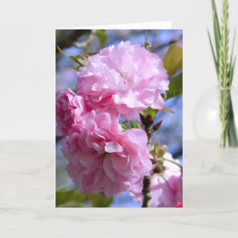 Cartão Double Cherry Blossoms