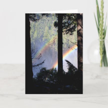 Double Rainbow through Trees