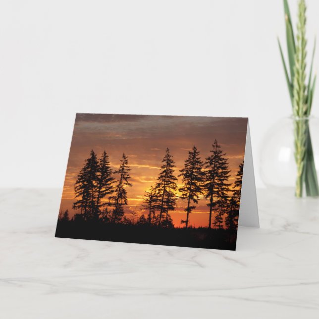 Cartão Douglas Firs e o nascer do Sol. - Arte-quadro (Frente)