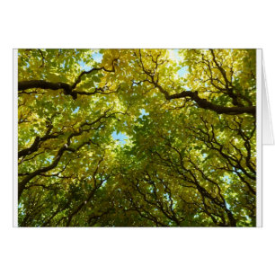 Cartão dourado bonito das árvores