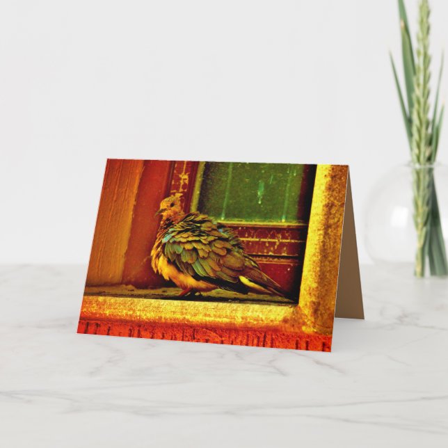 Cartão Dove de penas (Frente)