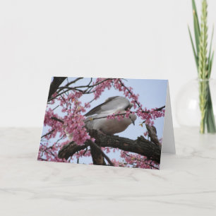 Cartão Dove & Redbud Blossoms