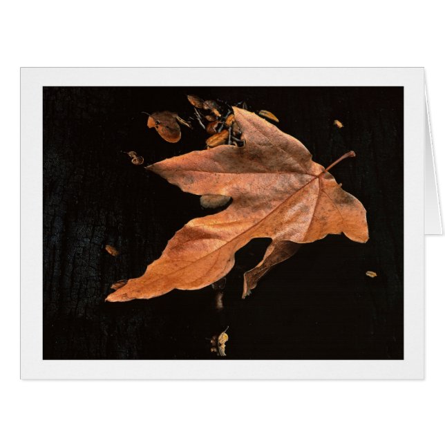 Cartão "Down Sycamore Leaf" (Frente horizontal)