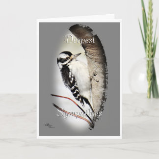 Cartão Downy Woodpecker 8998- personalize como desejado