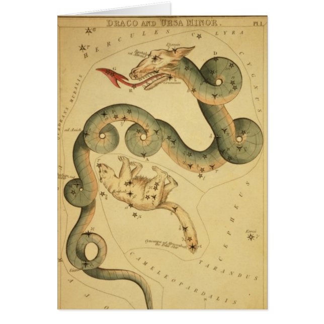 Cartão Draco do impressão da astronomia do vintage & (Frente)