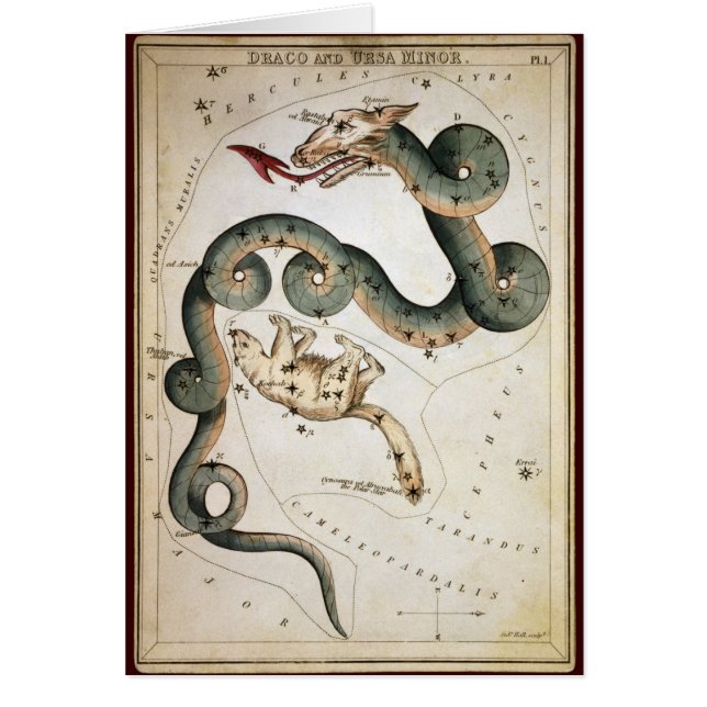 Cartão Draco e menor de Ursa (Frente)