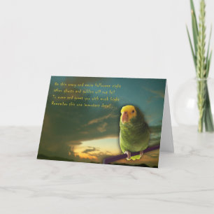 Cartão Dracula Calories