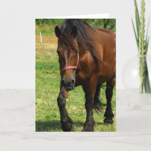 Cartão Draft Horse Greeting Card
