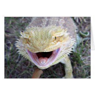 Cartão Dragão de Barba Super Feliz