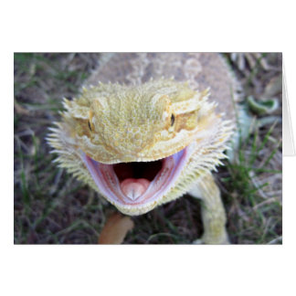 Cartão Dragão de Barba Super Feliz