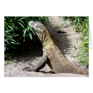 Cartão Dragão de Komodo (0780)