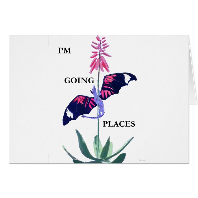 Cartão dragão e cacto (Frente Horizontal)