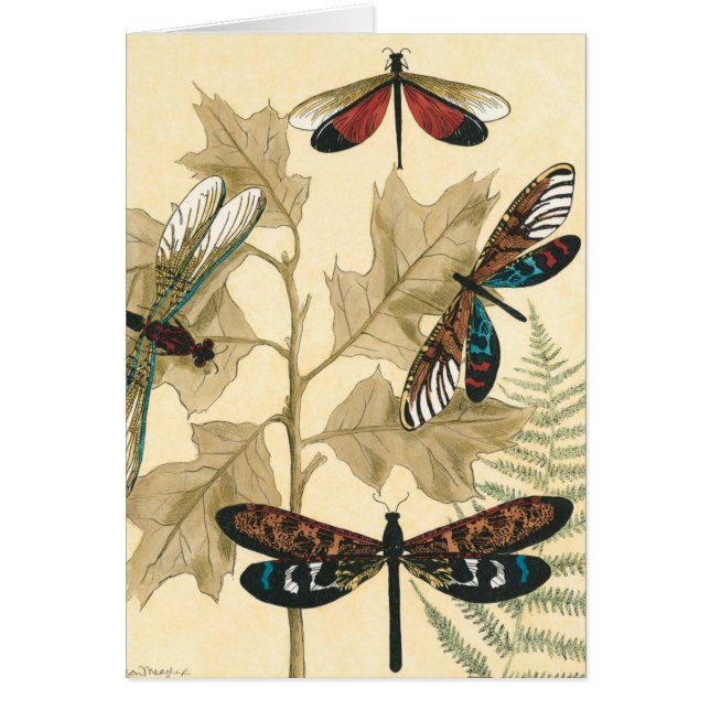 Cartão Dragões Coloridos Flutuando Sobre Folhas (Frente)