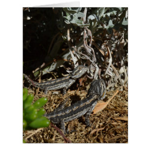 Cartão Dragões De Bebê,