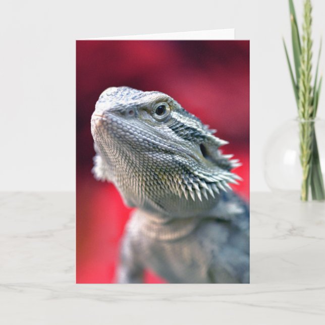 Cartão Dragon Head Note Card (Frente)