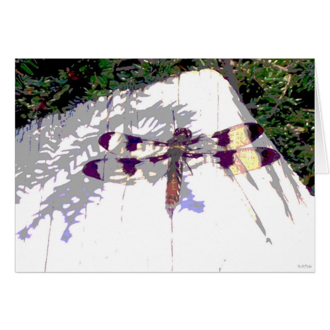 Cartão Dragonfly (Frente Horizontal)