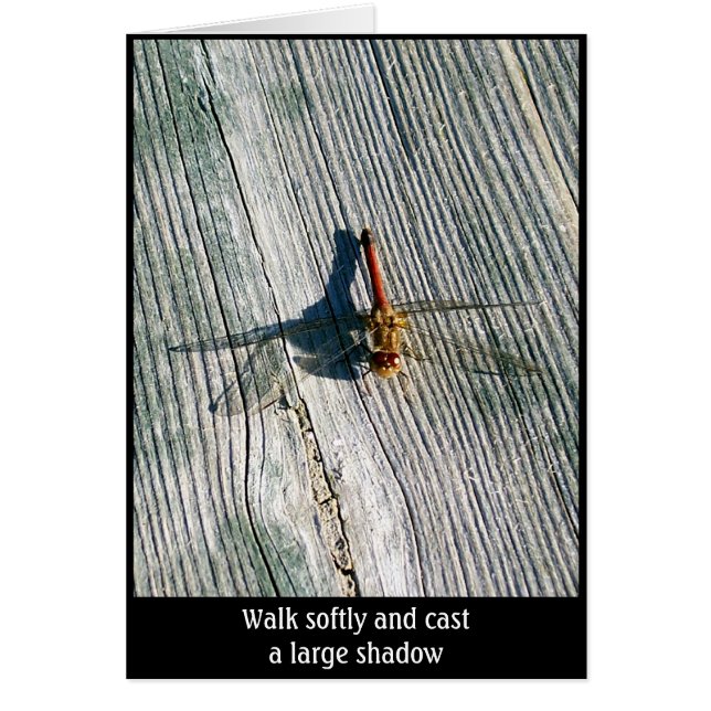 Cartão Dragonfly (Frente)