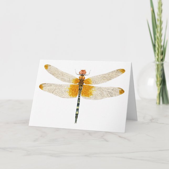 Cartão Dragonfly Aquecida de Setagem Verificada (Frente)