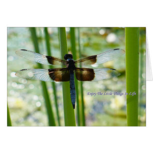 Cartão Dragonfly Azul