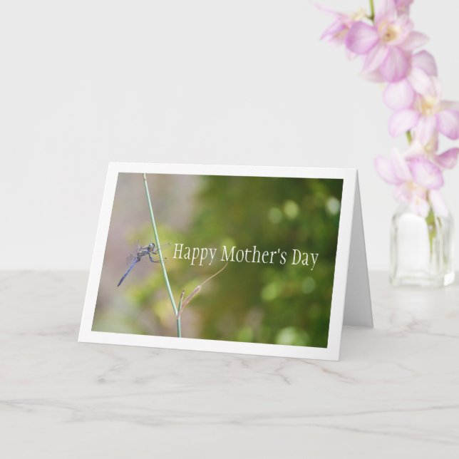 Cartão Dragonfly Azul no Retrato Stem (Orquídea)