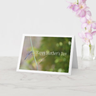 Cartão Dragonfly Azul no Retrato Stem