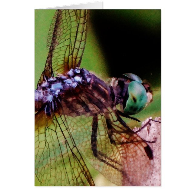 Cartão Dragonfly com flores brancas (Frente)