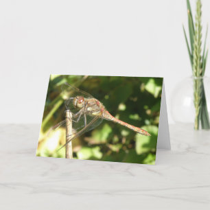 Cartão Dragonfly em uma placa de saudação Twig
