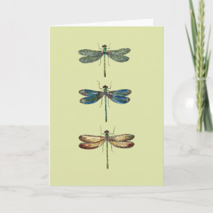 Cartão Dragonfly Illustrations
