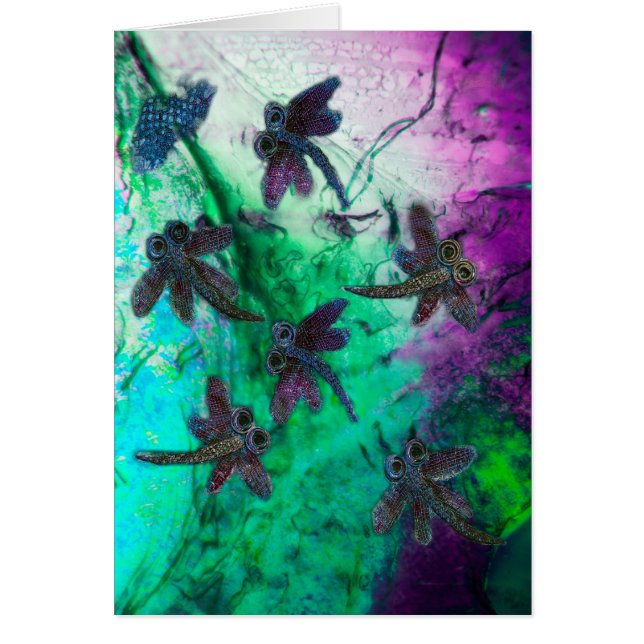 Cartão Dragonfly Magic (Frente)