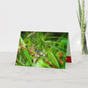 Cartão Dragonfly na folha vermelha