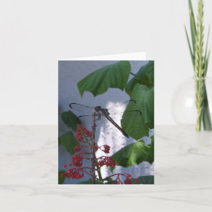 Cartão Dragonfly on a blank inside note card