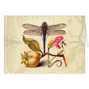 Cartão Dragonfly, Pear, Cravo e Insetos