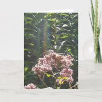 dragonfly sympathy card