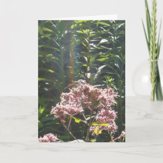 Cartão dragonfly sympathy card (Frente)