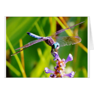 Cartão Dragonfly Teal & Purple