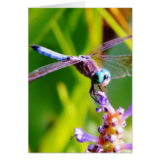 Cartão Dragonfly Teal & Purple