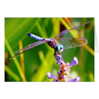Cartão Dragonfly Teal & Purple