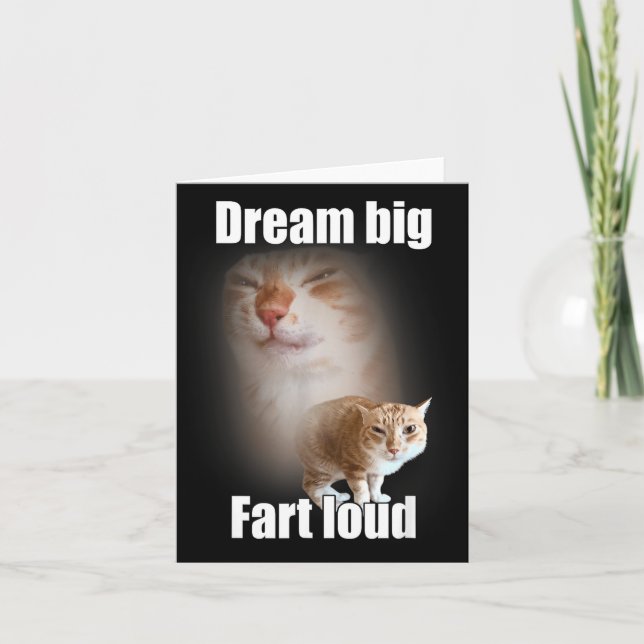 Cartão Dream Big Fart Loud Cat Meme Funny Saying  (Frente)