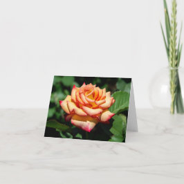 Cartão Dream come True Rosa