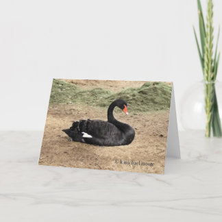 Cartão Dreaming the Sea Greeting Card - Blank