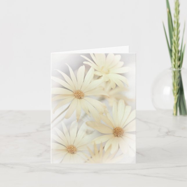 Cartão "Dreamy Daises 2" (Frente)